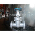 API Pneumatic Control Flanged Wedge Gate Valve